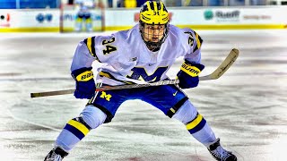 Thomas Bordeleau 34  Michigan  202021 Highlights [upl. by Waterer609]