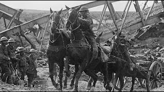 War Horses Canadas Percherons First World War [upl. by Mcclenaghan131]