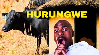 BIG CHALLENGE😢😢 My rural life in a dry season in Chipapa Hurungwe🇿🇼 [upl. by Akenit934]