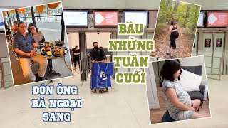 Bầu những tuần cuối  Đón ông bà ngoại sang ♡Trucs stories♡ [upl. by Einna]