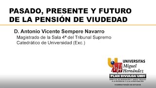 PASADO PRESENTE Y FUTURO DE LA PENSIÓN DE VIUDEDAD [upl. by Ojyram914]