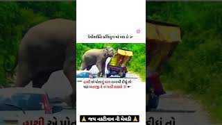 🙏 જય નકટીવાવ ની મેલડી 🙏 meldi youtubeshorts mavtarmaavihatmeldimaa [upl. by Cora]