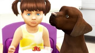 BURGERS BIRTHDAY AND PLAY DATE Lets Play The Sims 4 PARENTHOOD  Part 43 [upl. by Hafital]