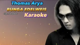 Thomas Arya  Bunga Edelweis  Karaoke [upl. by Raney]