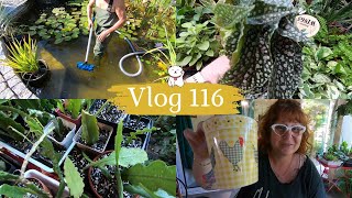 VLOG 116🌿 NETTOYAGE DU BASSIN  Un tour en JARDINERIE  Je mets en pot mes boutures d Epiphyllums 😊 [upl. by Adnuahsor]