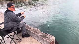 Fishing at Eaglehawk neck Tasmania [upl. by Fariss512]