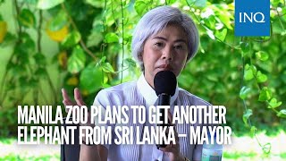 Manila Zoo plans to get another elephant from Sri Lanka – mayor [upl. by Ettennej635]