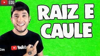 Raiz e Caule  ESTRUTURAS DO VEGETAL│Prof Patrick Gomes [upl. by Llorrac891]