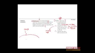 First Aid for the USMLE Step 1 IMMUNOLOGY  11  Cytokines Interferons [upl. by Radbun18]