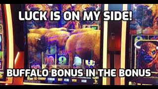 Luck is On My Side Buffalo Bonus in the Bonus [upl. by Reld746]