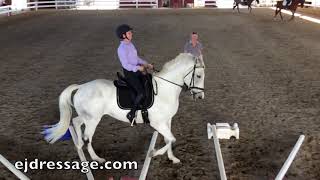 Cavaletti Training with bent and straight lines with Erika Jansson [upl. by Haem]