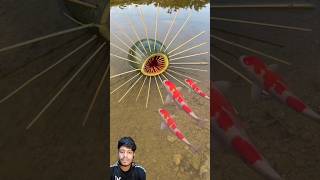 with watermelon fish trap 😱😲bushcraft camping outdoors [upl. by Ridglee]