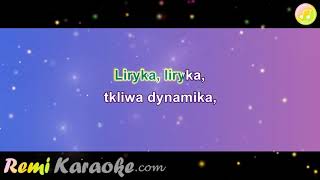 Grzegorz Turnau  Liryka karaoke  RemiKaraokecom [upl. by Shelli]