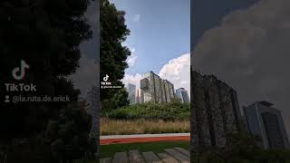 Este es el mejor lugar para hacer un picnic en cdmx paseo picnic parque [upl. by Aiet471]