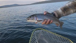 Forest Fires and Cutthroats  STRAWBERRY Reservoir Utah [upl. by Judenberg]