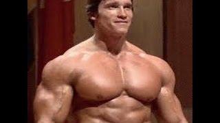 Arnold Schwarzenegger Olympia bodybuilding motivation 2015 [upl. by Anh492]