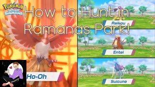 HOW TO SHINY HUNT IN RAMANAS PARK All the Legendaries Pokemon BDSP [upl. by Pollock]