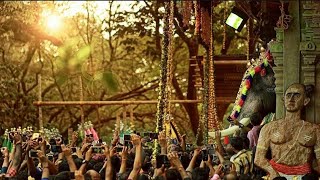 Thrissur Pooram 🐘🐘🐘🐘  Thrissur pooram WhatsApp status [upl. by Akema]