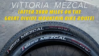 Vittoria Mezcal XCTRAIL after 2800 miles  4345K on the Great Divide Mountain Bike Route or GDMBR [upl. by Adley]