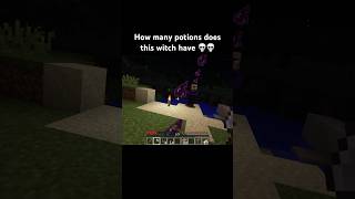 This witches bro minecraft minecraftshorts minecraftmemes shorts funny memes gaming fyp [upl. by Joyan]