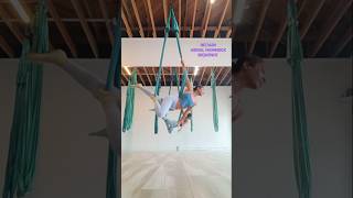 IntermediateAdvanced aerial hammock sequence aerialist aerialhammock aerialsilks shorts yoga [upl. by Aiyekal]