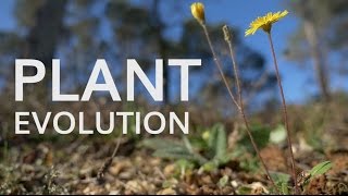 Plant Evolution [upl. by Campney]