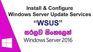 Install and Configure WSUS on Windows Server 2016  Sinhala [upl. by Iggep]