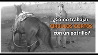 Arrendando Caballos v6 ¿Cómo trabajar en Circulos Cortos pie a tierra [upl. by Callan]