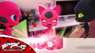 Miraculous Ladybug Season 7 Tikki and Plagg Creates a New Miraculous from their Miraculouses ❤️😱 [upl. by Natanoy]