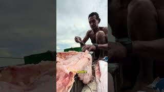 Qual jeito certo de preparar um peixe amazonia [upl. by Alebasi973]