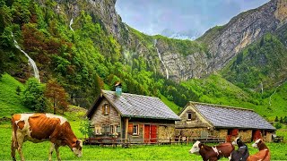 Switzerland Countryside  Relaxing walk in Switzerlands most beautiful villages  rain ambience [upl. by Marina]