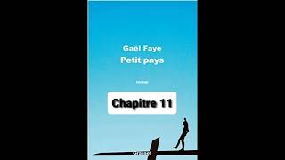 11  Petit Pays  Gael Faye  aide à la lecture  Chapitre 11 [upl. by Melentha]