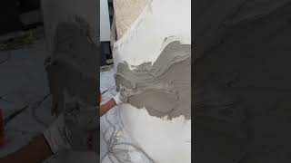 Home Paints Paint WallDesign Design shorts WallColour HomeDecor IndiaDIYasianpaintsindpak [upl. by Seena]