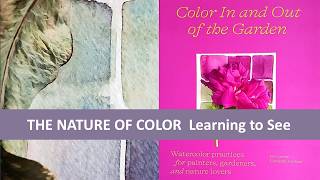 Color In And Out Of The Garden by Lorene Edwards Forkner  Art Book Review [upl. by Ailb]