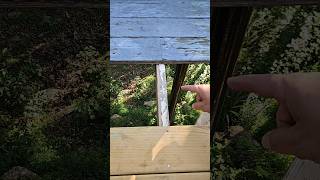 MUST DO RECOMMENDATION for Installing new decking or deck boards shorts deck diy howto tips [upl. by Attelrahs]