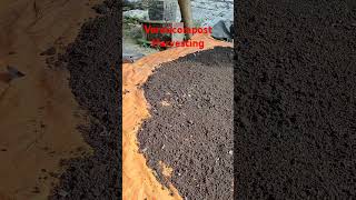 vermicomposting Vermicompost westbengal memari earthworm organicfertilizer [upl. by Assyli]