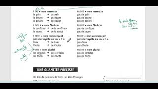 Grammaire en dialogues Leçon 32 Exercices sur la quantité avec Madame Maha [upl. by Eram]