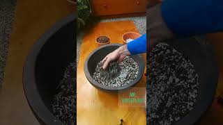 How to Make a Potting Mix [upl. by Solitta]