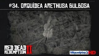 Localización múltiple Orquídea Arethusa Bulbosa  34Compendio Plantas  Red dead redemption 2 [upl. by Oirelav]