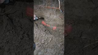 I found a real box treasur ehunt metaldetecting treasurehunt [upl. by Goto741]