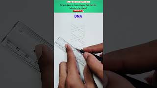 How to draw double DNA helix Diagram DNA helixdiagram sciencediagram [upl. by Ernald]