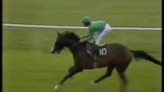 1981 Irish Derby Shergar [upl. by Pippo]