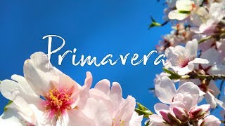 Detox di Primavera  Come disintossicarsi con lo Yoga [upl. by Gilliam]