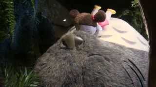 HD Totoro Sleeping Peluche Statue at Tokyo Sky Tree Store Tokyo  日本の夢 [upl. by Gennaro920]