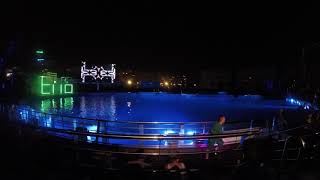 Valencia Oceanografic Dolphin show Part 1 [upl. by Aiek]