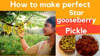 Instant Star gooseberry pickle perfect measurements for pickle  Andhra style pickle harvesting [upl. by Katuscha567]