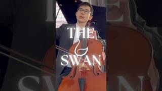 🦢 The Swan – Cellos Soothing Sound cello theswan classicalmusic [upl. by Ballou94]