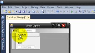 How to Make Your own Screen CaptureVisual Basic 2010 [upl. by Aidul]