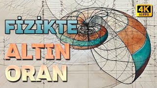 Fizikte Altın Oran I 4K [upl. by Minoru297]