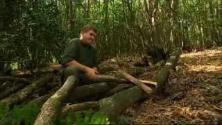 Ray Mears  How to split wood with a saw Bushcraft Survival [upl. by Lamoureux]